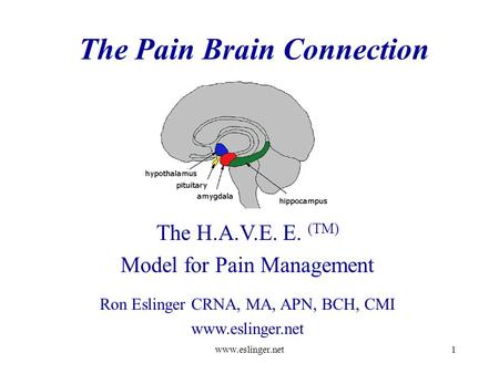 Www.eslinger.net1 The Pain Brain Connection The H.A.V.E. E. (TM) Model for Pain Management Ron Eslinger CRNA, MA, APN, BCH, CMI www.eslinger.net.