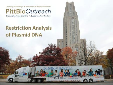 Restriction Analysis of Plasmid DNA