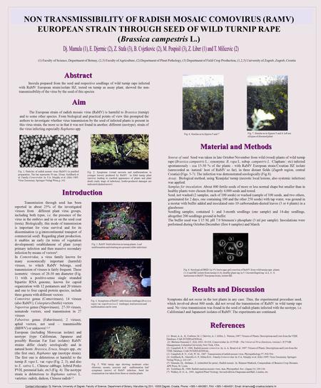 (1) Faculty of Science, Department of Botany, (2,3) Faculty of Agriculture, (2) Department of Plant Pathology, (3) Department of Field Crop Production,