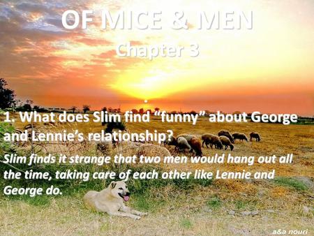 OF MICE & MEN Chapter 3 1. What does Slim find “funny” about George and Lennie’s relationship? Slim finds it strange that two men would hang out all.