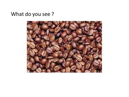 What do you see ?. Seeing as God sees Regret and Rejection 15:11,29,35, 16:1 Israel have rejected the Lord 10:19 Saul has rejected the Lord 15:26.