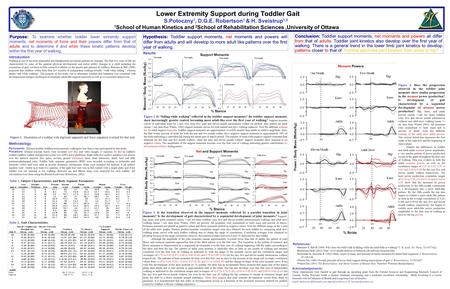 Lower Extremity Support during Toddler Gait S.Potoczny 1, D.G.E. Robertson 1 & H. Sveistrup 1,2 1 School of Human Kinetics and 2 School of Rehabilitation.