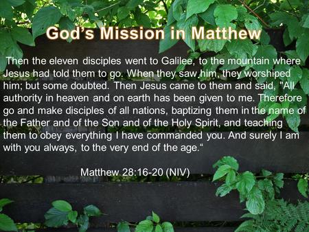 Then the eleven disciples went to Galilee, to the mountain where Jesus had told them to go. When they saw him, they worshiped him; but some doubted. Then.