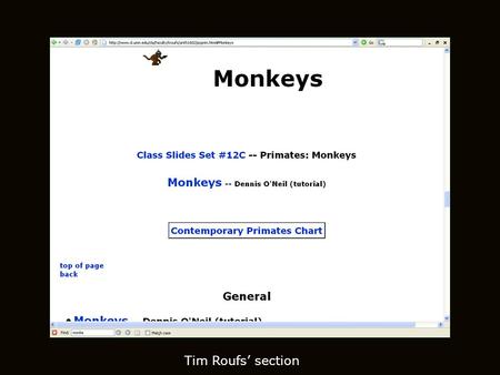 Tim Roufs’ section. Primate taxonomic classification Monkeys Understanding Physical Anthropology and Archaeology, 9th ed., p. 123.