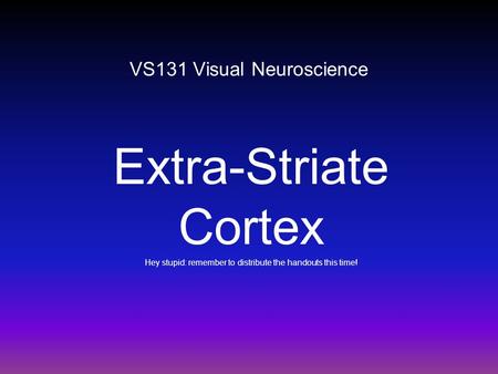 VS131 Visual Neuroscience Extra-Striate Cortex Hey stupid: remember to distribute the handouts this time!