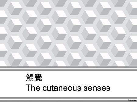 觸覺 The cutaneous senses. 觸覺與日常生活 The case of Ian –http://www.wimp.com/lostbody/http://www.wimp.com/lostbody/ –http://www.youtube.com/watch?v=FKxyJfE831Qhttp://www.youtube.com/watch?v=FKxyJfE831Q.