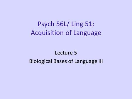 Psych 56L/ Ling 51: Acquisition of Language Lecture 5 Biological Bases of Language III.