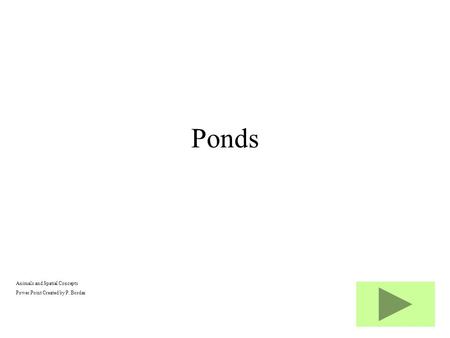 Animals and Spatial Concepts Power Point Created by P. Bordas Ponds.