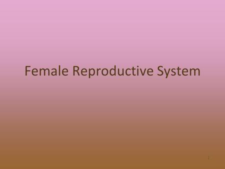 Female Reproductive System