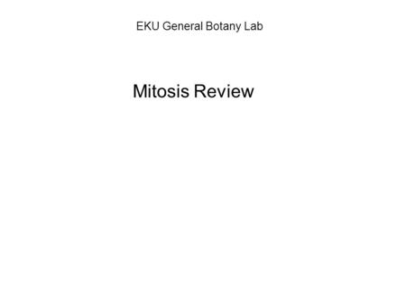 EKU General Botany Lab Mitosis Review. Mitotic cell division begins by the DNA molecules coiling and thickening to begin to form recognizable chromosomes.