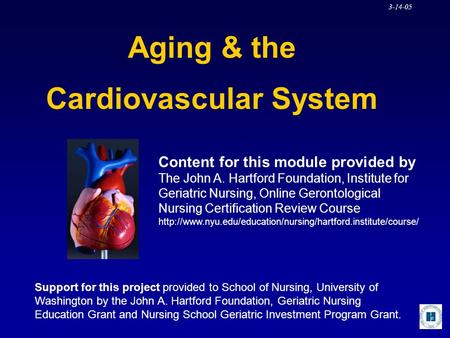 Cardiovascular System