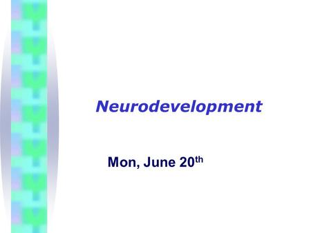 Neurodevelopment Mon, June 20 th. How Does the Nervous System Develop? Neural crest specification: migrating into genomics. Laura S. Gammill & Marianne.