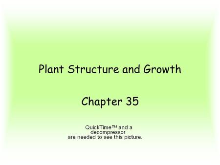 Plant Structure and Growth