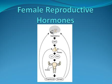 Female Reproductive Hormones