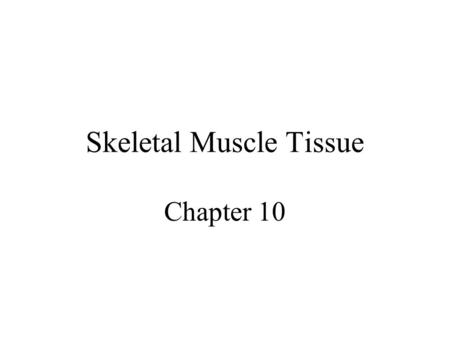 Skeletal Muscle Tissue