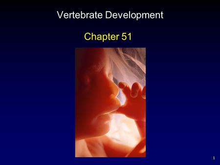 Vertebrate Development