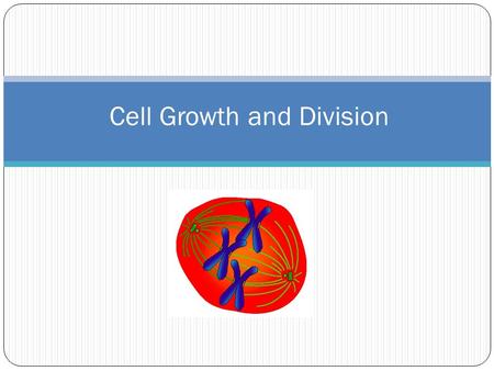 Cell Growth and Division