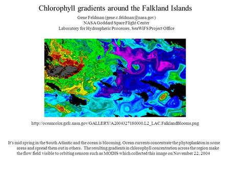 Chlorophyll gradients around the Falkland Islands  It's mid spring in the.