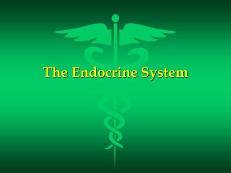 The Endocrine System.