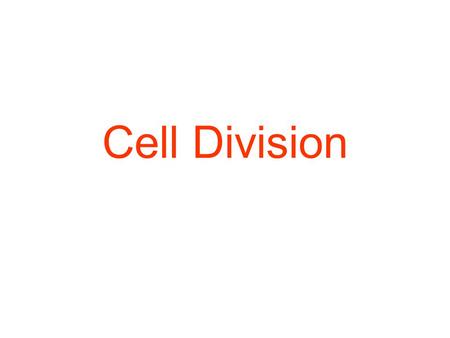 Cell Division.