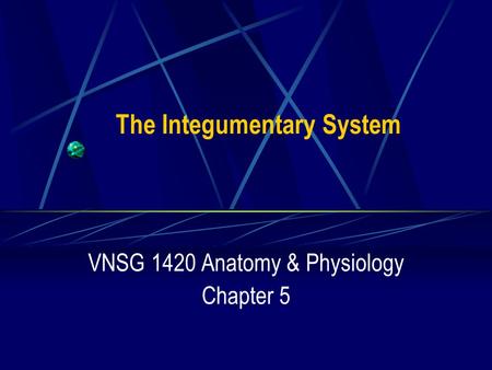 The Integumentary System VNSG 1420 Anatomy & Physiology Chapter 5.