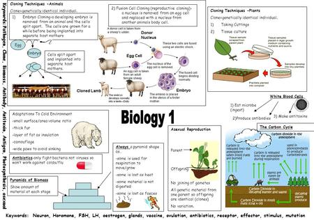 Antibiotics-only fight bacteria not viruses so won’t work against colds/flu Keywords:Pathogen, Clone, Biomass, Antibody, Antitoxin, Antigen, Photosynthesis,