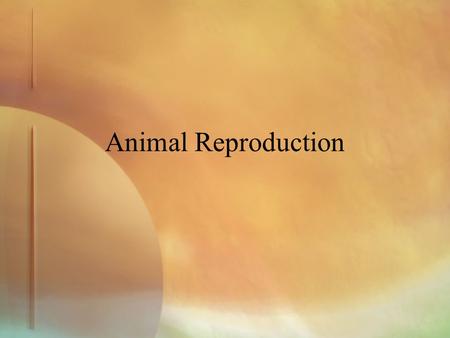 Animal Reproduction.