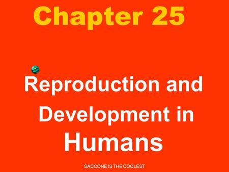 Reproduction and Development in Humans