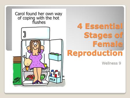 4 Essential Stages of Female Reproduction