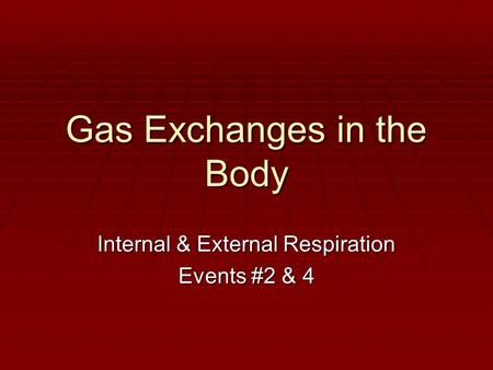 Gas Exchanges in the Body Internal & External Respiration Events #2 & 4.