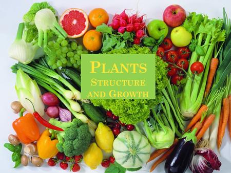 P LANTS S TRUCTURE AND G ROWTH. F RUIT an organ that contains seeds, protecting these as they develop and often aiding in their dispersal. derived from.