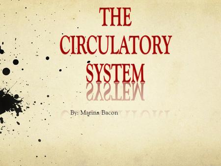 The Circulatory System