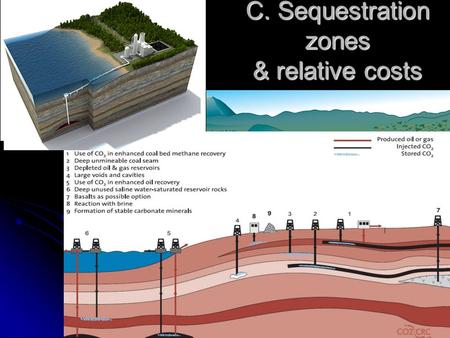 C. Sequestration zones & relative costs. Lake Nyos, Cameroon CO 2 “burp” formed 400 yr ago in volcanic field formed 400 yr ago in volcanic field CO 2.