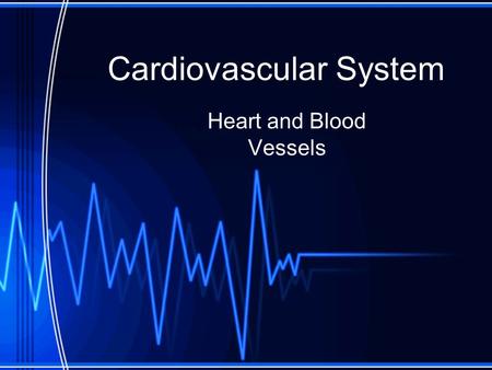 Cardiovascular System