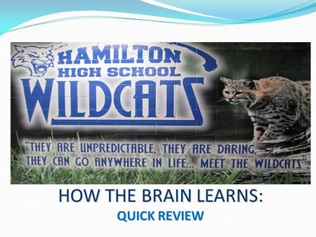 HOW THE BRAIN LEARNS: QUICK REVIEW. THE PROCESS CREATING NEURAL NETWORKS AND NEURAL PATHWAYS TO THE OBJECTIVE: Think of it as walking through a yard of.