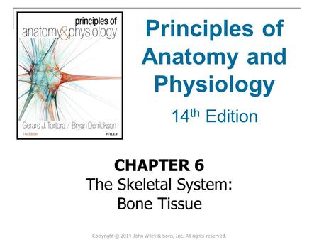 Principles of Anatomy and Physiology