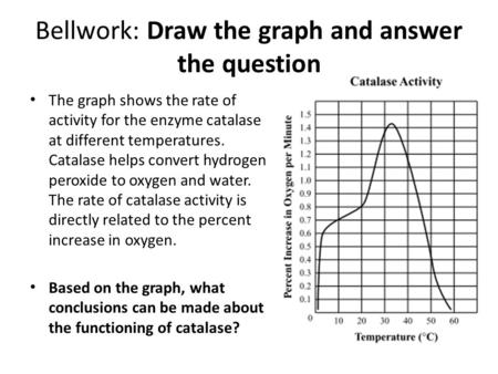 Bellwork: Draw the graph and answer the question The graph shows the rate of activity for the enzyme catalase at different temperatures. Catalase helps.