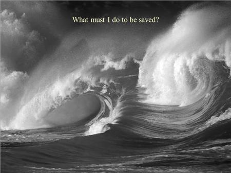 What must I do to be saved?. Then he called for a light, and sprang in, and came trembling, and fell down before Paul and Silas, Acts 16:29-31.