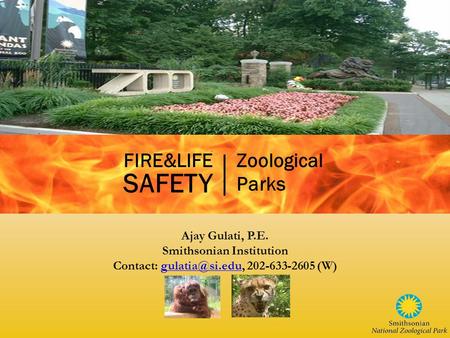 Ajay Gulati, P.E. Smithsonian Institution Contact: 202-633-2605 FIRE&LIFE SAFETY Zoological Parks.