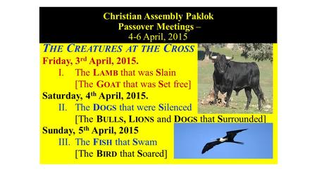 Christian Assembly Paklok Passover Meetings – 4-6 April, 2015 T HE C REATURES AT THE C ROSS Friday, 3 rd April, 2015. I. The L AMB that was Slain [The.