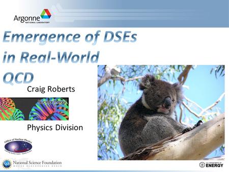 Craig Roberts Physics Division. Dyson-Schwinger Equations  Well suited to Relativistic Quantum Field Theory  Simplest level: Generating Tool for Perturbation.