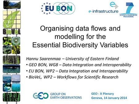 Hannu Saarenmaa – University of Eastern Finland GEO BON, WG8 – Data Integration and Interoperability EU BON, WP2 – Data Integration and Interoperability.