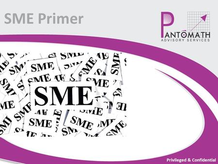 SME Primer Privileged & Confidential. 2 Pantomath Capital Advisors Pvt. Ltd. (SEBI Registered Category I Merchant Bankers) – A Pantomath group entity.