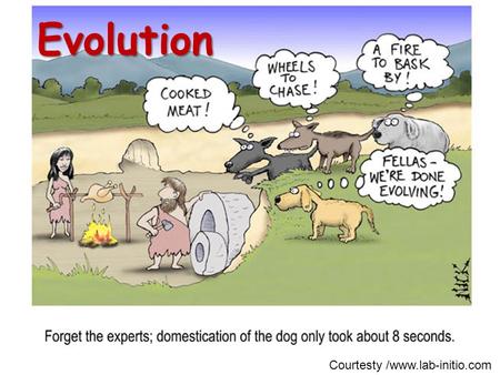 Evolution Courtesty /www.lab-initio.com. Definitions Evolution: the change in frequency of genes within a population Population: is all the individuals.