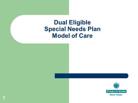 Dual Eligible Special Needs Plan Model of Care