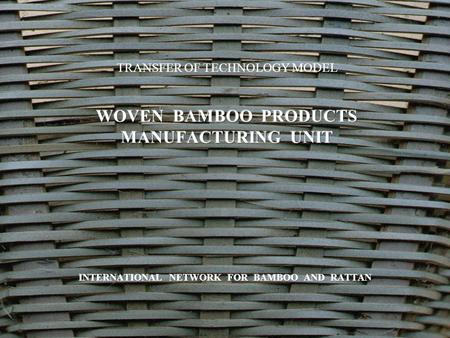 Bamboos grow more rapidly than trees and start to yield within three or four years of planting. Plantation establishment requires minimal capital investment.