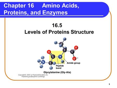 Chapter 16 Amino Acids, Proteins, and Enzymes