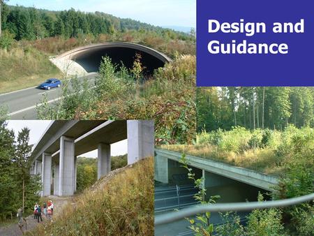 Design and Guidance. What are Your Choices Mitigation measure ( keeping Animals off the road) Estimated effective- ness (%) Balance ($/km/yr) Best practice.