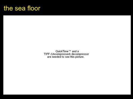 The sea floor. seafloor water covers 70% of Earth’s surface.