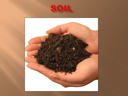 o Soils are a fertile, natural resource. o Soils develop / form from the weathering of rocks in one place and from re-deposited weathered materials.